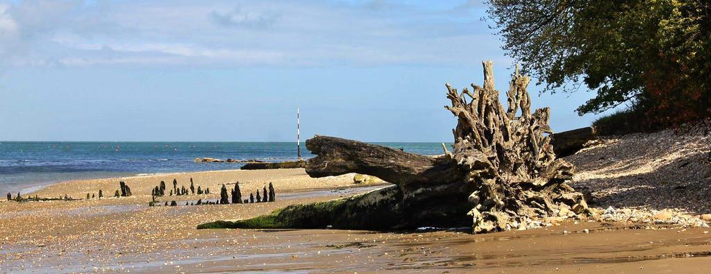 The Crab And Lobster Inn Bembridge Kültér fotó