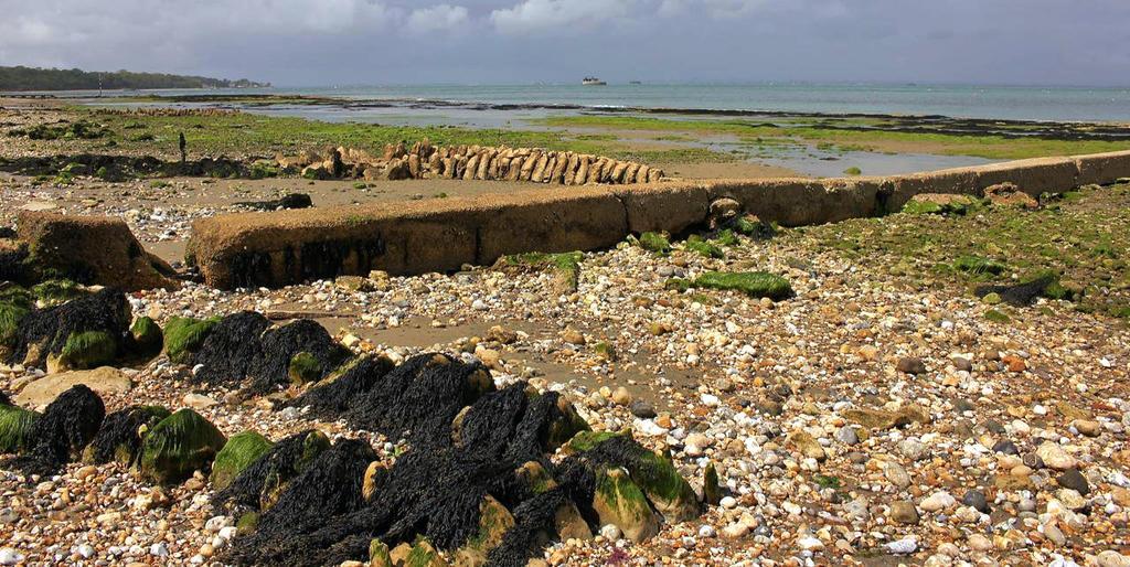 The Crab And Lobster Inn Bembridge Kültér fotó